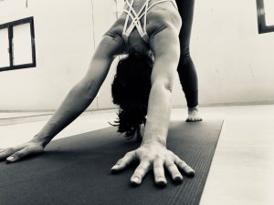Yoga Fisio Logik