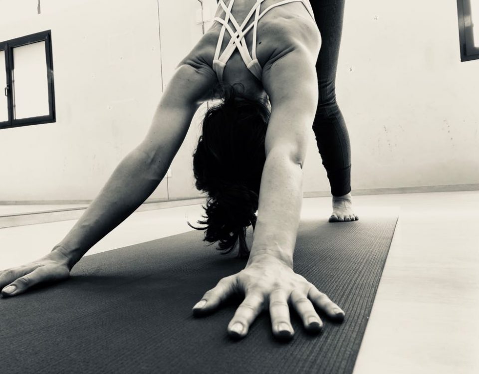 Corsi Haṭha Yoga 2021 a FISIO LOGIK con Silvia Zanichelli